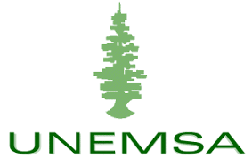 Unemsa